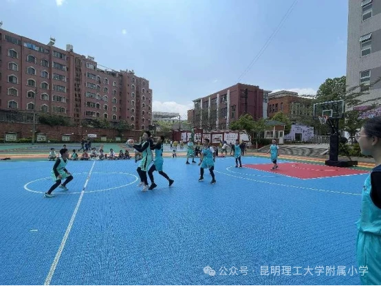 如何为不同水平的球员制定个性化的篮球训练策略_2